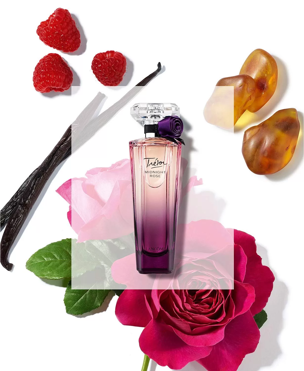نمونه رنگ‌بندی عطر لانکوم میدنایت رز