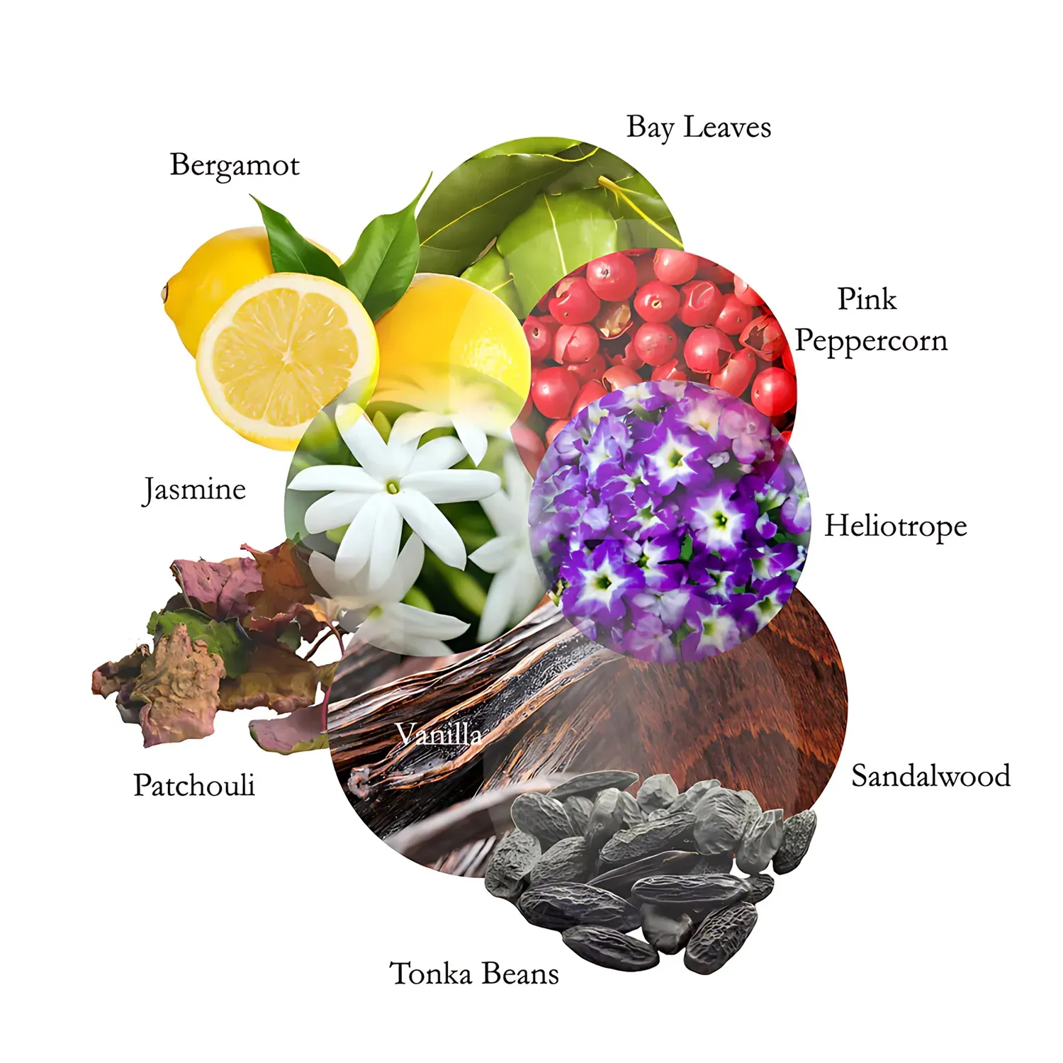 نمونه رنگ‌بندی عطر لالیک پرفیوم